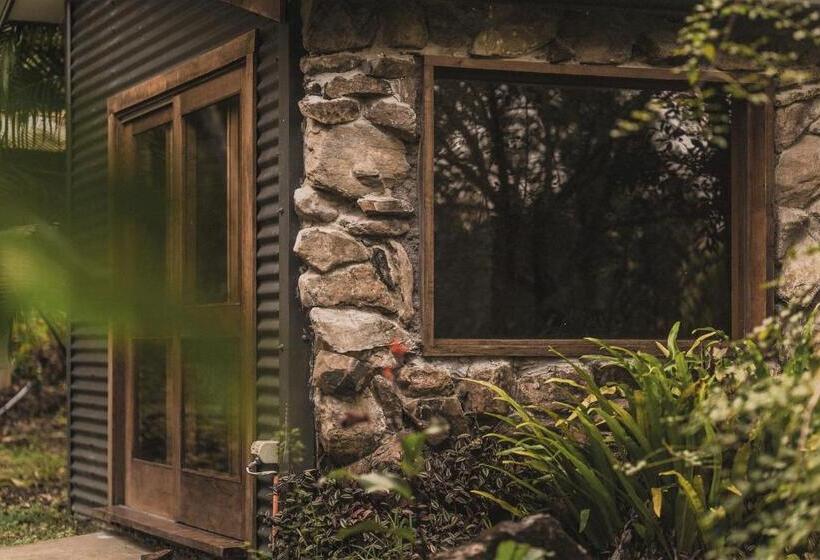 Palm Grove Rainforest Retreat