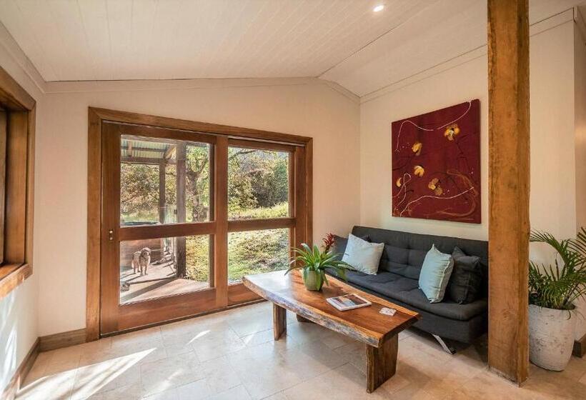 Palm Grove Rainforest Retreat