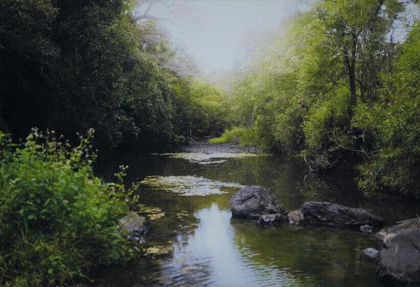 Palm Grove Rainforest Retreat