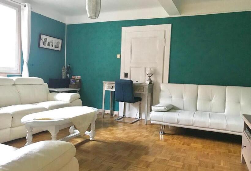 פנסיון Appartement T3 Aux Deux Cigognes Gries