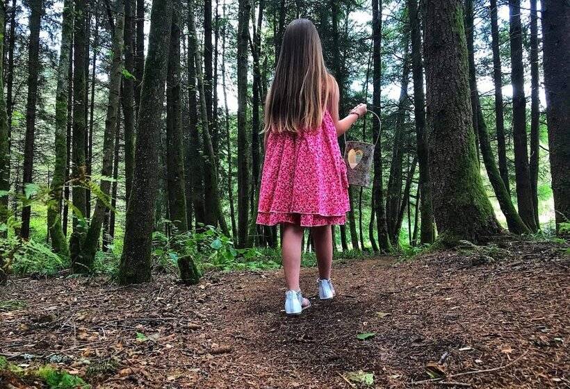 بنسيون Auberge De La Cholotte