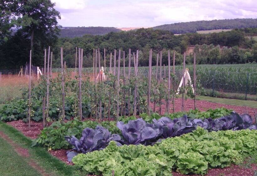 Пансион Chambre D Hotes De La Mousse