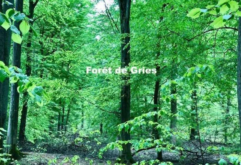 פנסיון Chambres D Hôtes Aux Deux Cigognes