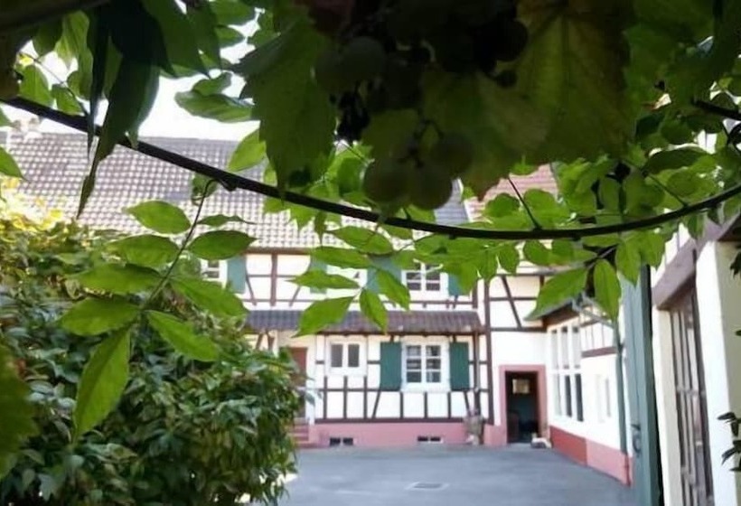 פנסיון Chambres D Hôtes Aux Deux Cigognes