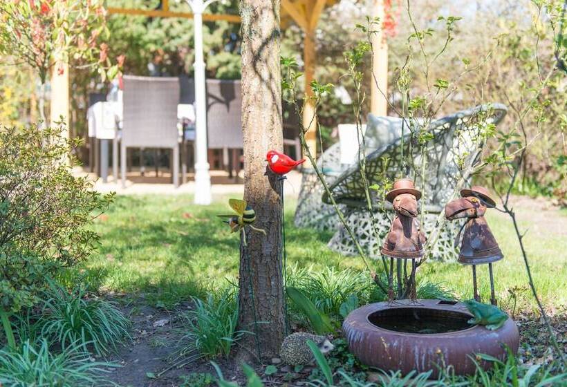 פנסיון Chambres D Hôtes Aux Deux Cigognes