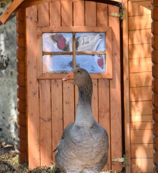 פנסיון Chez Aurélia Chambres & Table D Hôtes