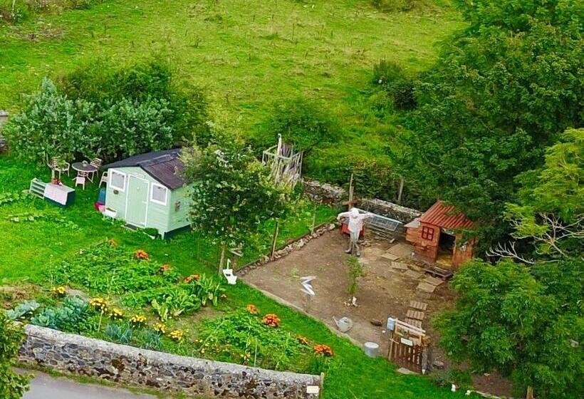 פנסיון Chez Marraine