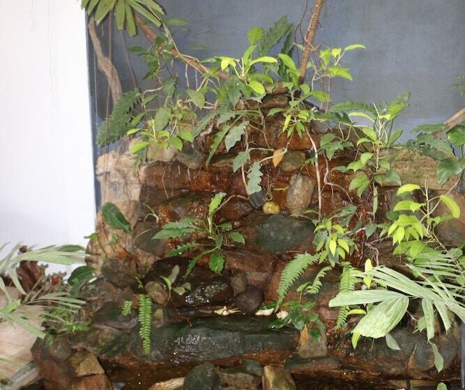 Пансион Comfystay Home Stay