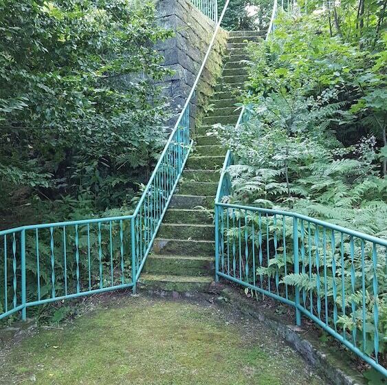 ペンション Die Burg Schöna   In A National Park