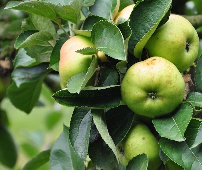 Пансион Gîte Paris Campagne