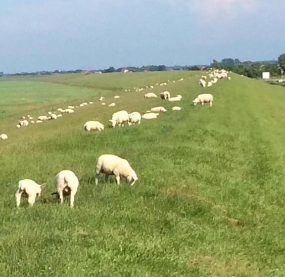 پانسیون Huus Störtebeker