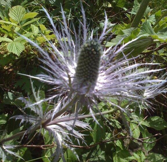 膳宿费 La Maison Abeil