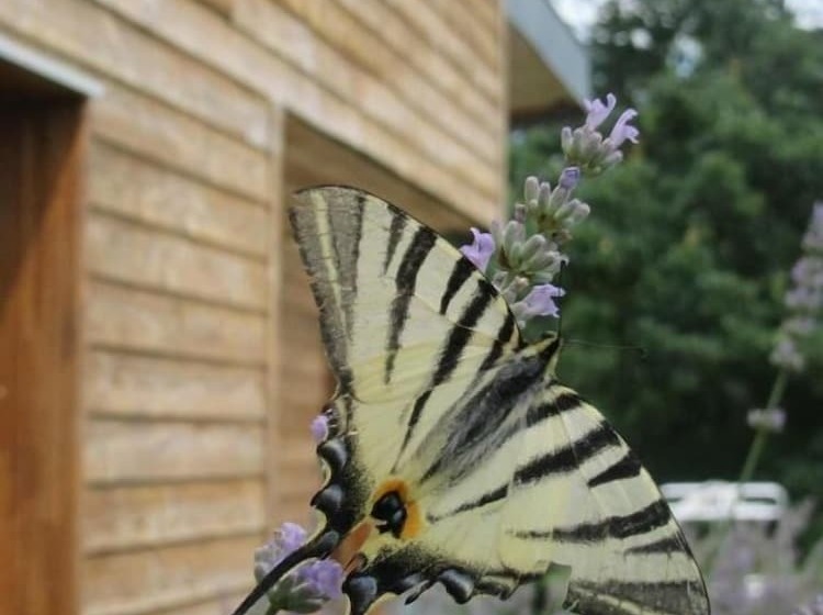 펜션 La Maison D Hôtes D Une Autre Nature