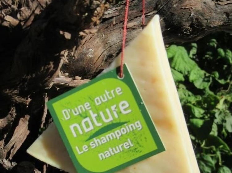펜션 La Maison D Hôtes D Une Autre Nature