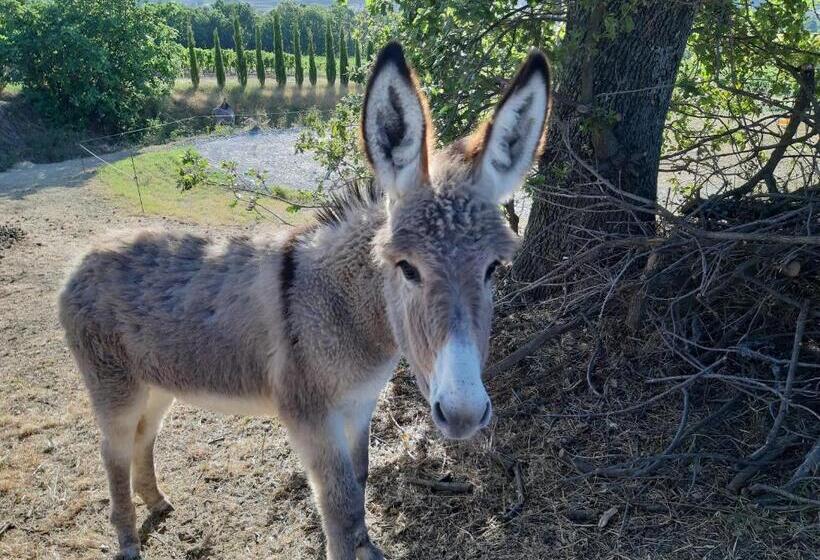 بنسيون Gîtes La Musardière