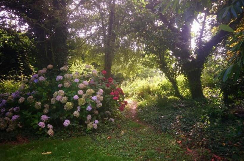 פנסיון La Nouvelle Criqueboise