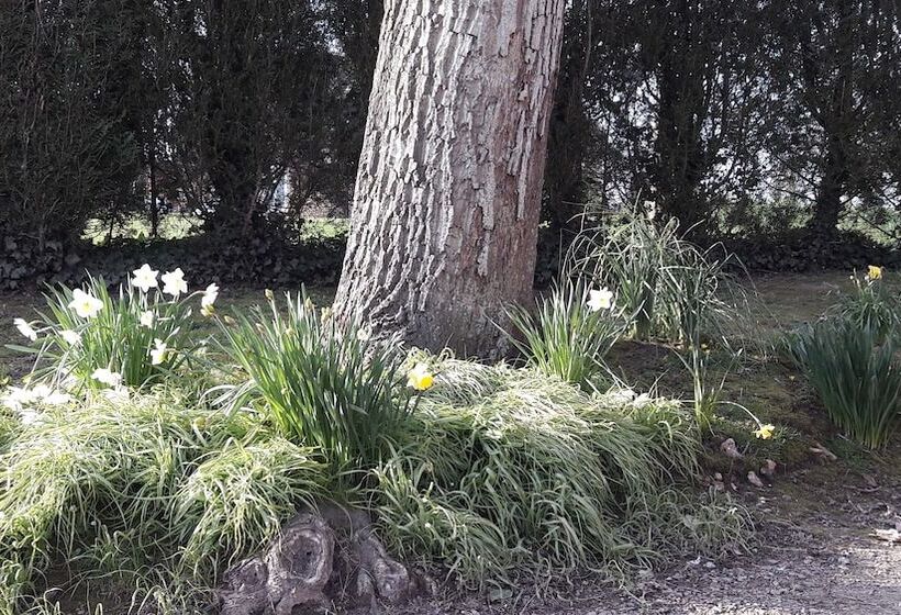 بنسيون Le Clos Des Pensées