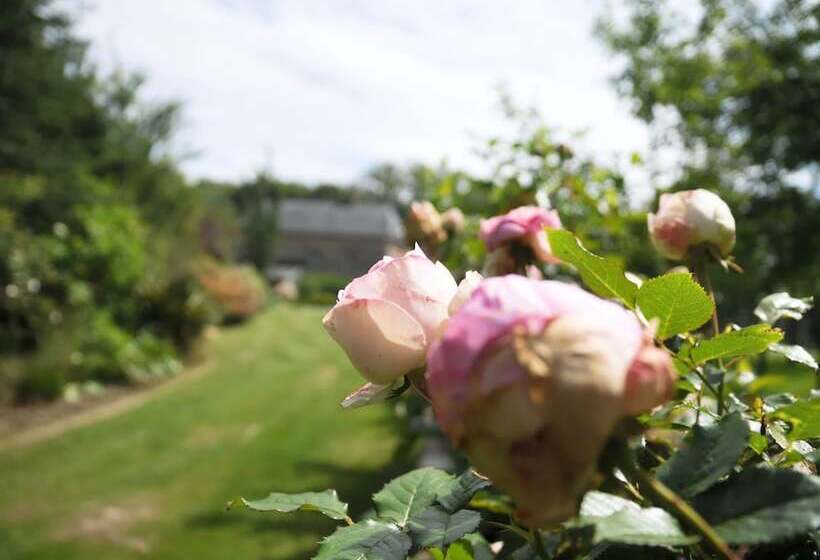 ペンション Le Domaine Des Platanes