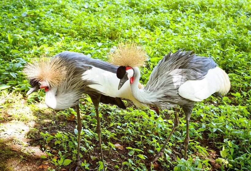 ペンション Le Domaine Des Platanes