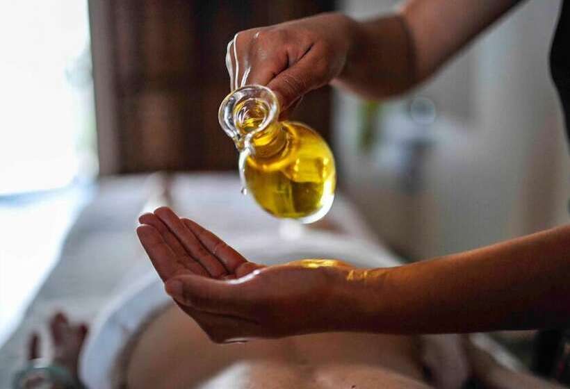 بنسيون Le Miel Et L'eau