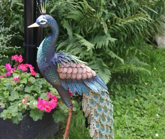 ペンション Le Paddock Du Val De Lys