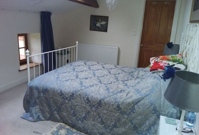 بنسيون Le Patronage