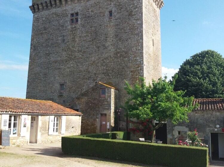 بنسيون Le Patronage