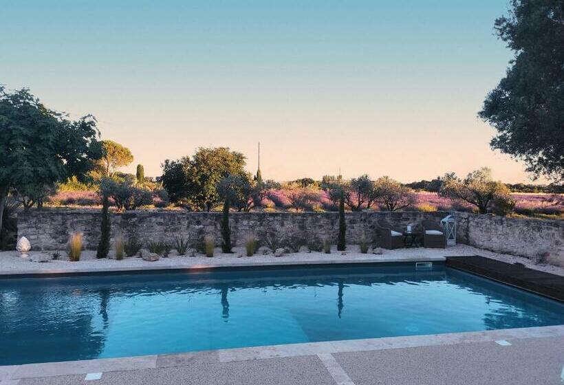 膳宿费 Les Champs De Provence