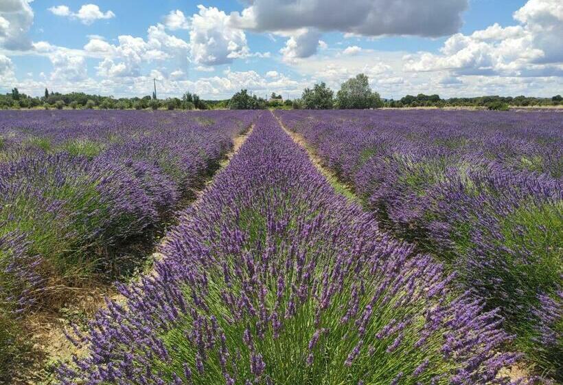 膳宿费 Les Champs De Provence