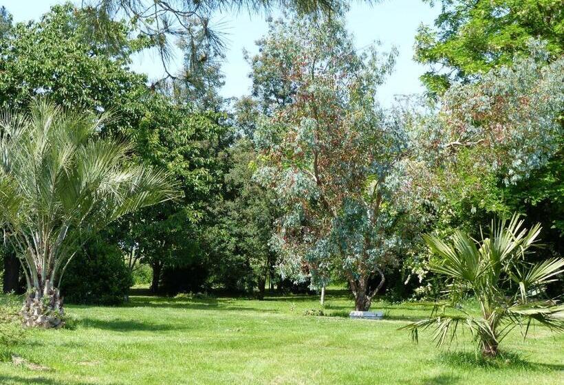 펜션 Les Terrasses Des Mimosas