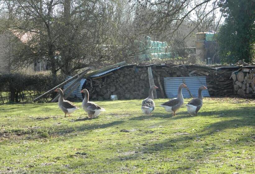 פנסיון Meublés De Tourisme La Reserve