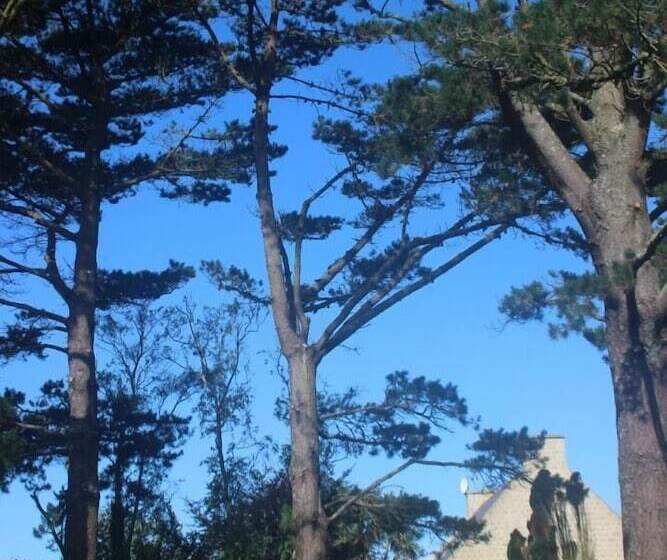 ペンション Propriété De La Mer D'iroise