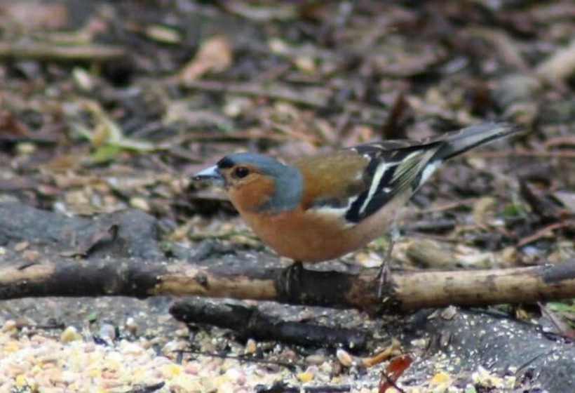 ペンション Propriété De La Mer D'iroise