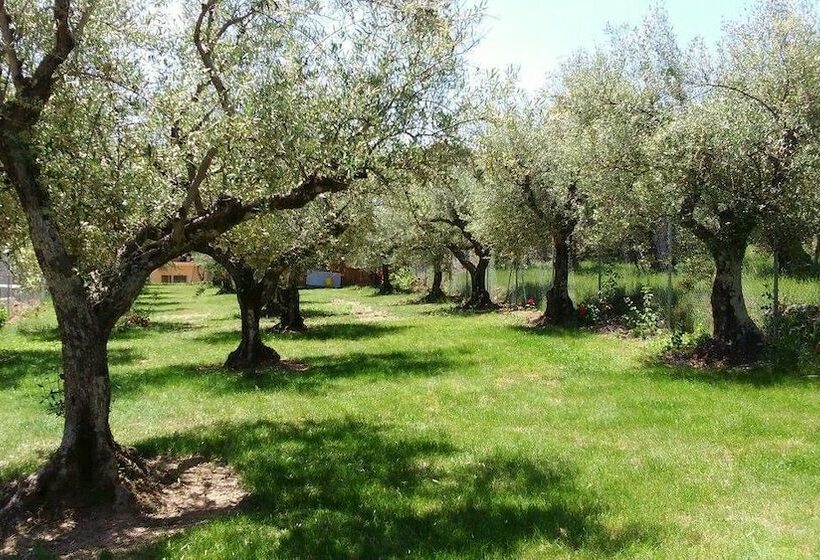 فندق صغير Campamento Los Tres Picos De La Vera