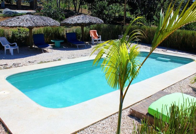 فندق صغير Barba Negra Lodge