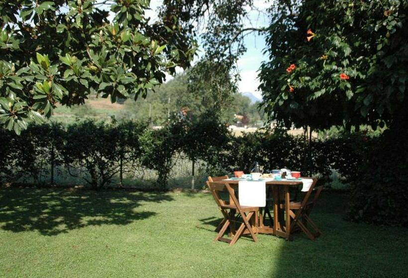 B&b Il Pero E L'edera