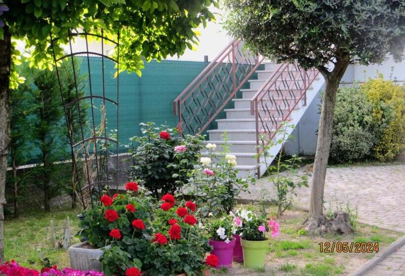 ベッドアンドブレックファースト 5 Palme