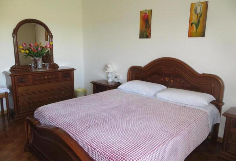 ベッドアンドブレックファースト 5 Palme