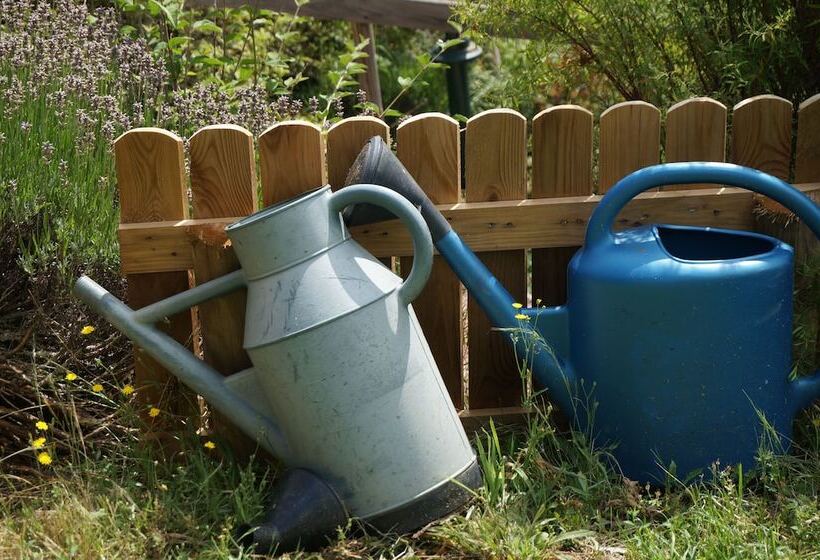 Bed and Breakfast Auberge Du Thiollet