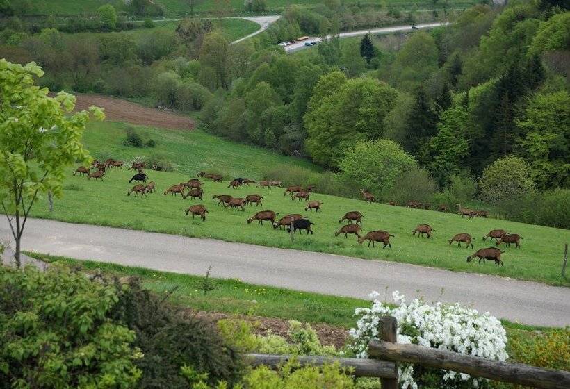 Bed and Breakfast Auberge Du Thiollet