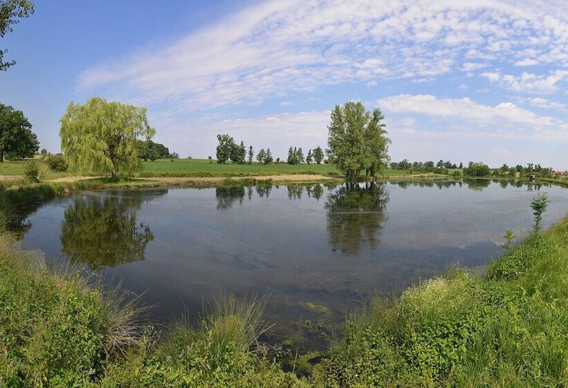 ベッドアンドブレックファースト Chambre D Hotes Lou Caussinhol