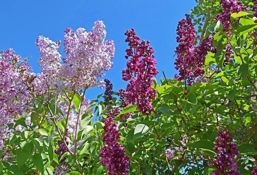 ベッドアンドブレックファースト Chambre D Hotes Lou Caussinhol