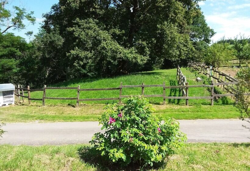 ベッドアンドブレックファースト Chambres D Hotes Azkena