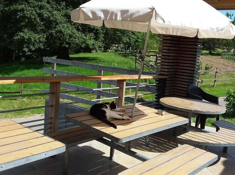 ベッドアンドブレックファースト Chambres D Hotes Azkena