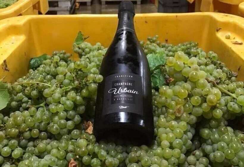 צימר Champagne Urbain