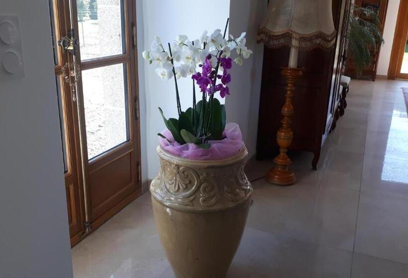 צימר Chez Céline