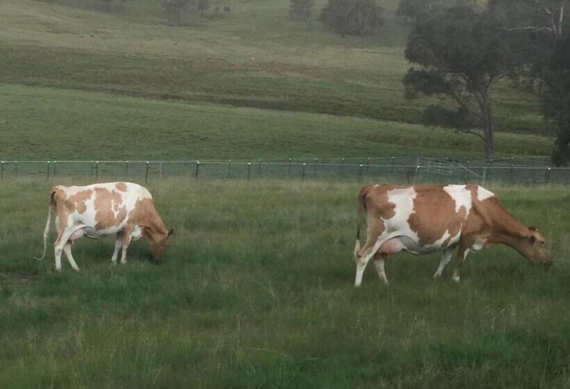 צימר Donegal Farmstay