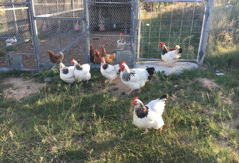 צימר Donegal Farmstay