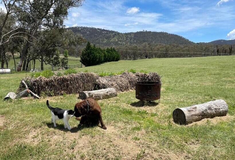 住宿加早餐  Donegal Farmstay