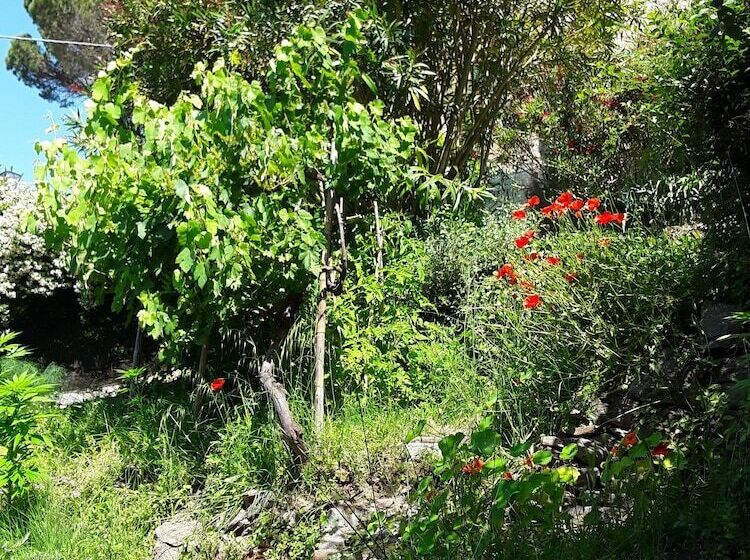 مبيت وإفطار La Casa Del Castello